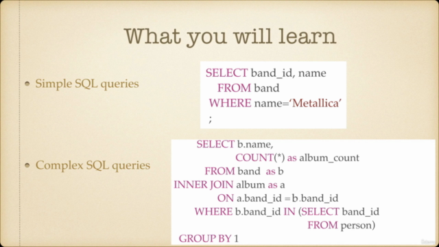 SQL Essentials: The Beginner's Guide to SQL Language – Screenshot 1