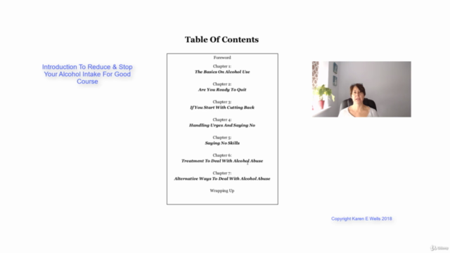 Reduce & Stop Your Alcohol Intake For Good Diploma Course – Screenshot 2