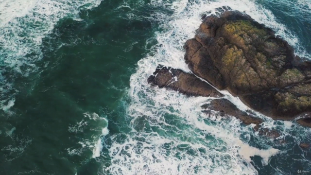 Mental Health And Neuroplasticity: Rewire Your Mental Health – Screenshot 3