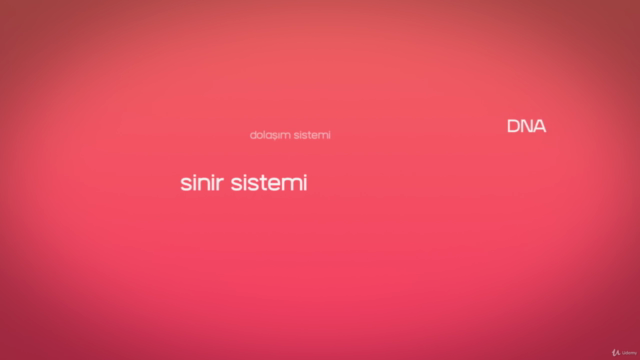 Biyoloji-Örnek Sorular-Konu Anlatımları-TYT-YKS, BÖLÜM-1 – Screenshot 3