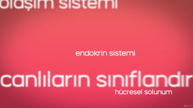 Biyoloji-Örnek Sorular-Konu Anlatımları-TYT-YKS, BÖLÜM-1 – Screenshot 4