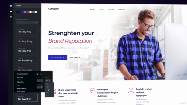 WordPress + Brizy + Canva: Conviértete en diseñador web! – Screenshot 4