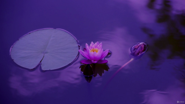 Exploring the Mind-Body Connection – Screenshot 4