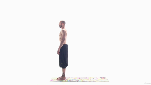 Yoga: Everyday Yoga for Everybody – Screenshot 1