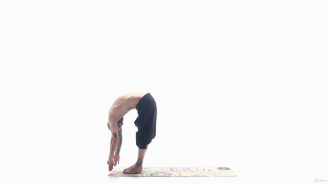 Yoga: Everyday Yoga for Everybody – Screenshot 2