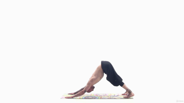 Yoga: Everyday Yoga for Everybody – Screenshot 4