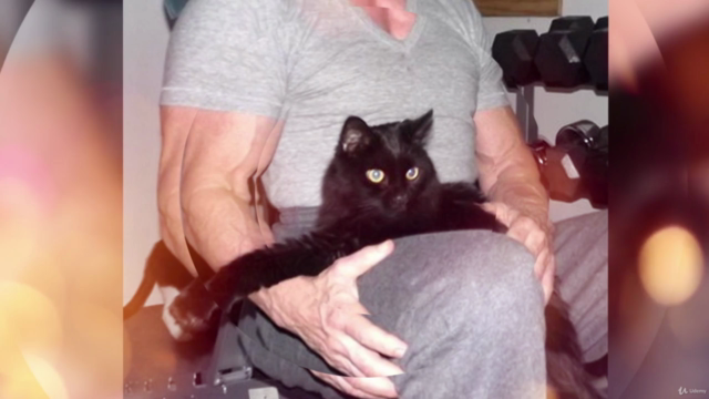 Reiki Energy To Heal Yourself & Your Animal – Screenshot 1