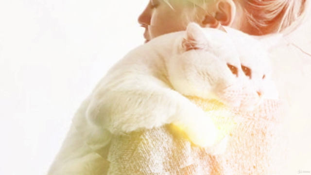 Reiki Energy To Heal Yourself & Your Animal – Screenshot 2