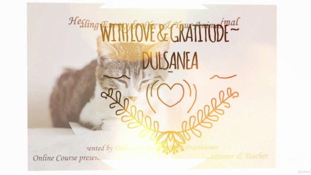 Reiki Energy To Heal Yourself & Your Animal – Screenshot 4