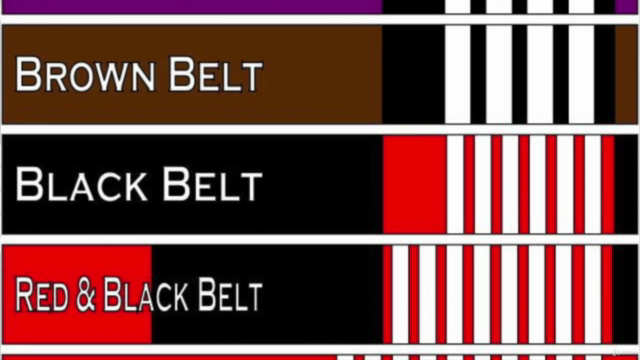 Brazilian Jiu Jitsu Course -Ultimate Guard Passing Volume 1 – Screenshot 2