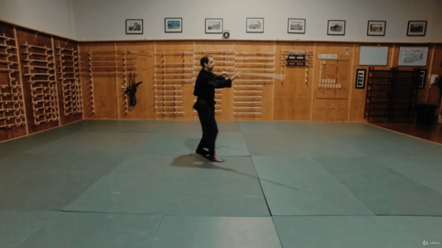 Martial Arts - Kenjutsu - Long-sword Foundation – Screenshot 3