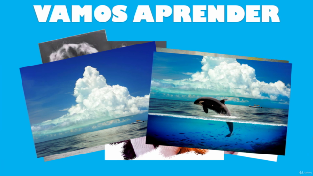Photoshop cc 2019 / 2020 - Do Básico ao Avançado – Screenshot 3