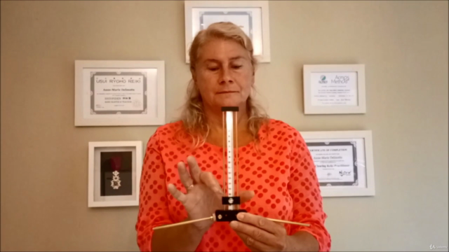 Dowsing With the Lecher Antenna - Geobiology Basic Level – Screenshot 1
