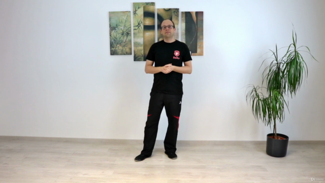 Biu Tze: Die komplette Form mit Anwendungen – Screenshot 1
