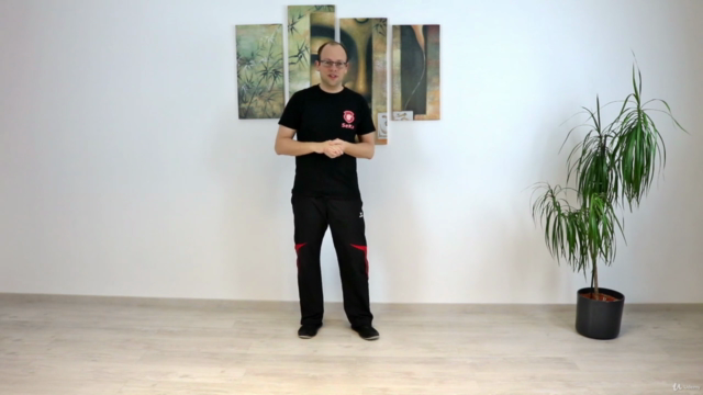 Biu Tze: Die komplette Form mit Anwendungen – Screenshot 4
