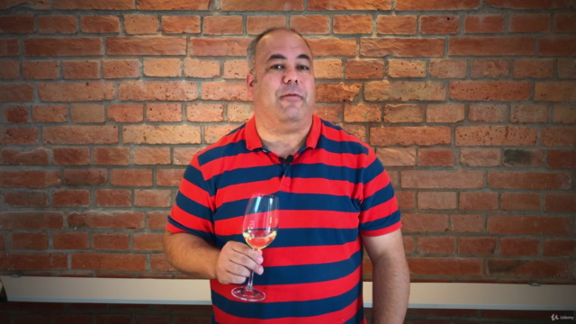 Wine in 9: The Complete Wine Tasting Course – Screenshot 1