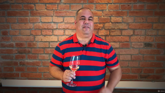 Wine in 9: The Complete Wine Tasting Course – Screenshot 4