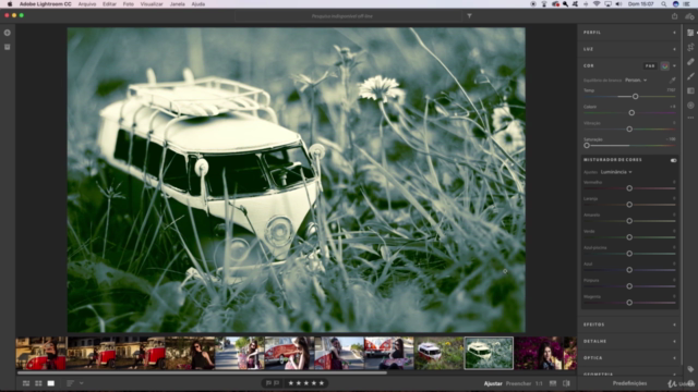 Aprenda Lightroom CC 2018 e 2019 do zero – Screenshot 1