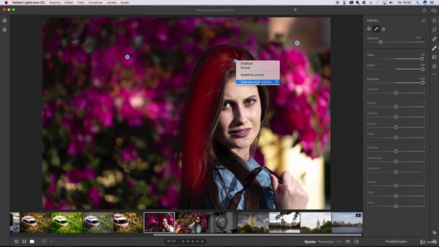 Aprenda Lightroom CC 2018 e 2019 do zero – Screenshot 2