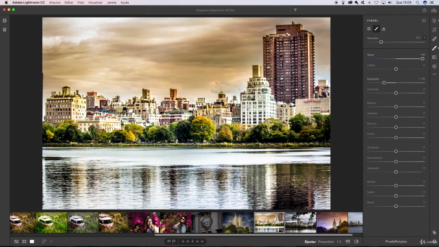 Aprenda Lightroom CC 2018 e 2019 do zero – Screenshot 4