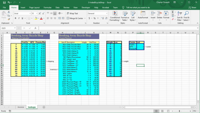 A Gentle Introduction To Advanced Excel Techniques and VBA – Screenshot 3
