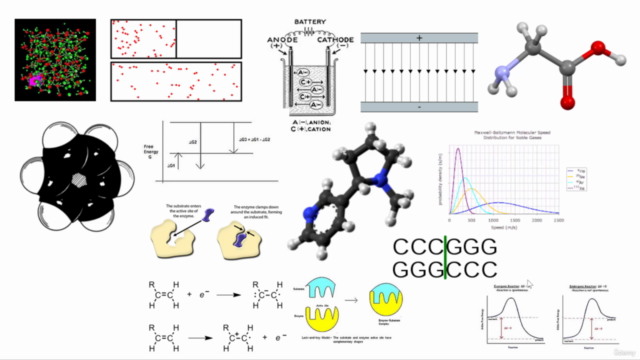 Molecular Engineering - Intro to Biomedical Engineering – Screenshot 1