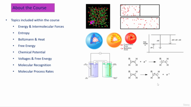 Molecular Engineering - Intro to Biomedical Engineering – Screenshot 3