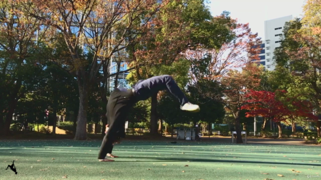Flips & Kicks — Beginner Guide for Martial Arts & Gymnastics – Screenshot 1