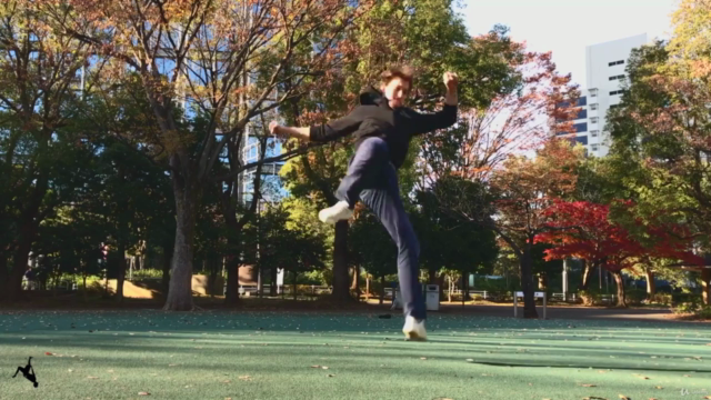 Flips & Kicks — Beginner Guide for Martial Arts & Gymnastics – Screenshot 3