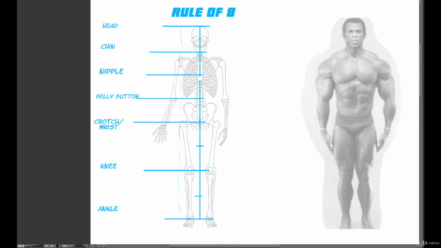How To Draw - Anatomy and Figure Drawing - Ultimate Course - Screenshot_01