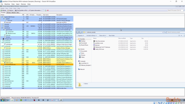 A Start-to-Finish Guide to Malware Analysis!: 2-in-1 – Screenshot 2