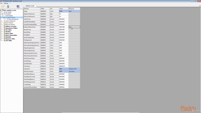 A Start-to-Finish Guide to Malware Analysis!: 2-in-1 – Screenshot 3