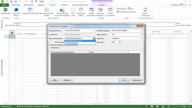 MS Project 2013 - 2021 Training (deutsch / german) – Screenshot 2
