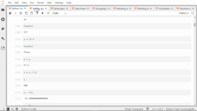 Complete Data Analysis with Pandas : Hands-on Pandas Python – Screenshot 2