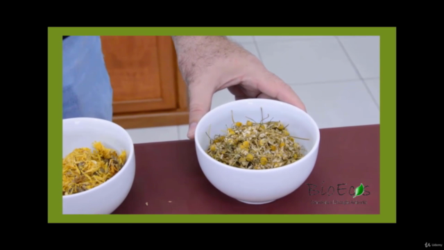 Curso de cosmética e produtos naturais – Screenshot 4