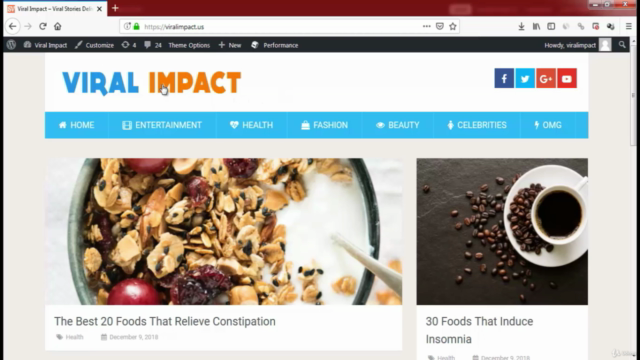 Adsense Arbitrage : Build a Professional Arbitrage Website – Screenshot 3
