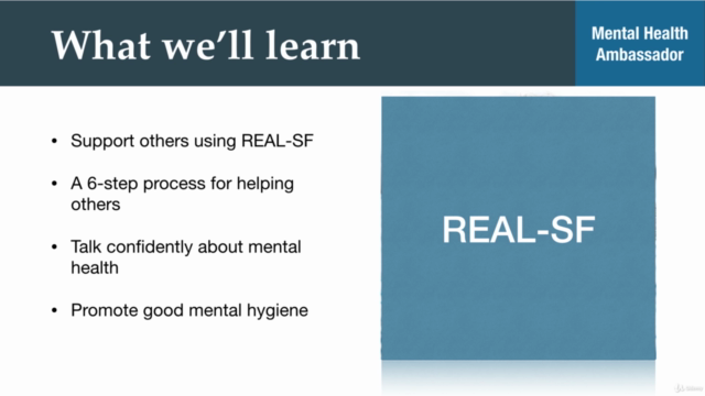 Mental Health Ambassador Certificate – Screenshot 2