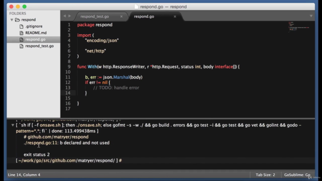 Golang: Learn Go Programming Language and Go Recipes – Screenshot 2