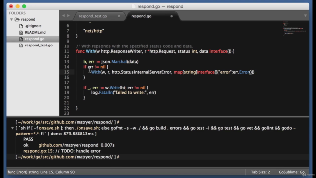 Golang: Learn Go Programming Language and Go Recipes – Screenshot 3