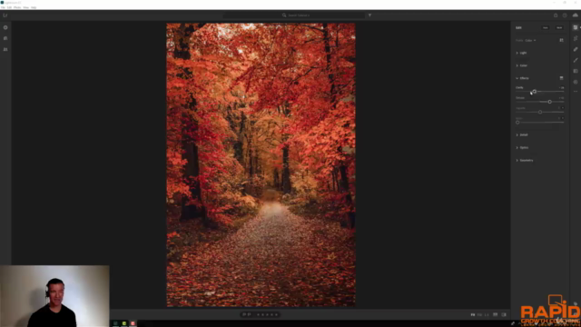 The Ultimate Adobe Lightroom CC Course: Complete Beginner – Screenshot 2