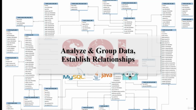 Mastering SQL (Using MySQL, Java, and Go) – Screenshot 2