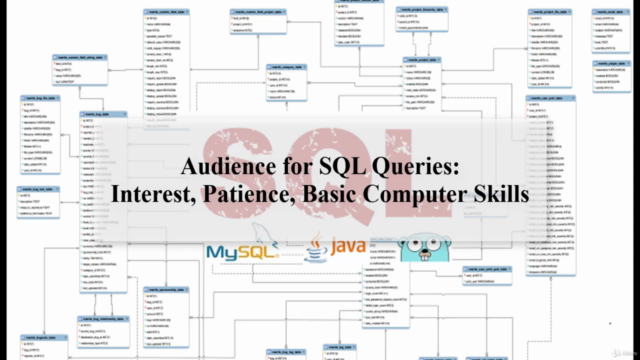 Mastering SQL (Using MySQL, Java, and Go) – Screenshot 4