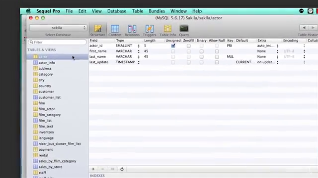 SQL for NEWBS: Weekender Crash Course – Screenshot 3