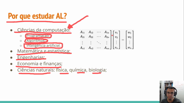 Álgebra Linear com Python – Screenshot 2
