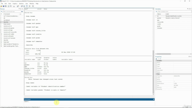 An Introduction to Stata – Screenshot 2