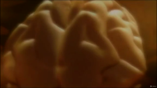 Super Inteligência - Aumente sua Capacidade Cerebral – Screenshot 1