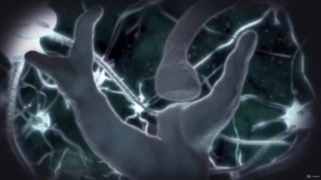 Super Inteligência - Aumente sua Capacidade Cerebral – Screenshot 4