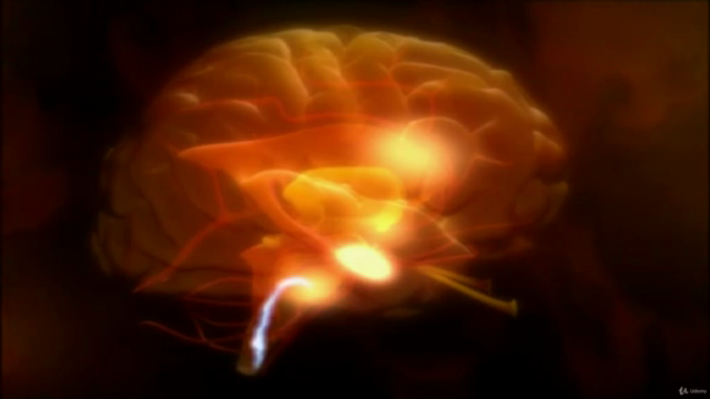 Super Intelligence - Increase Your Brain Capacity – Screenshot 3