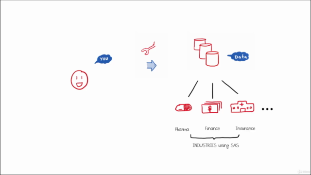 The Simplest Guide to SAS Programming- SAS Base-SAS Advanced – Screenshot 1