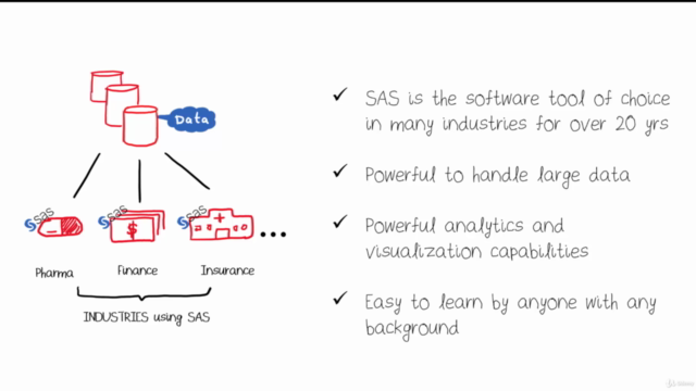 The Simplest Guide to SAS Programming- SAS Base-SAS Advanced – Screenshot 3